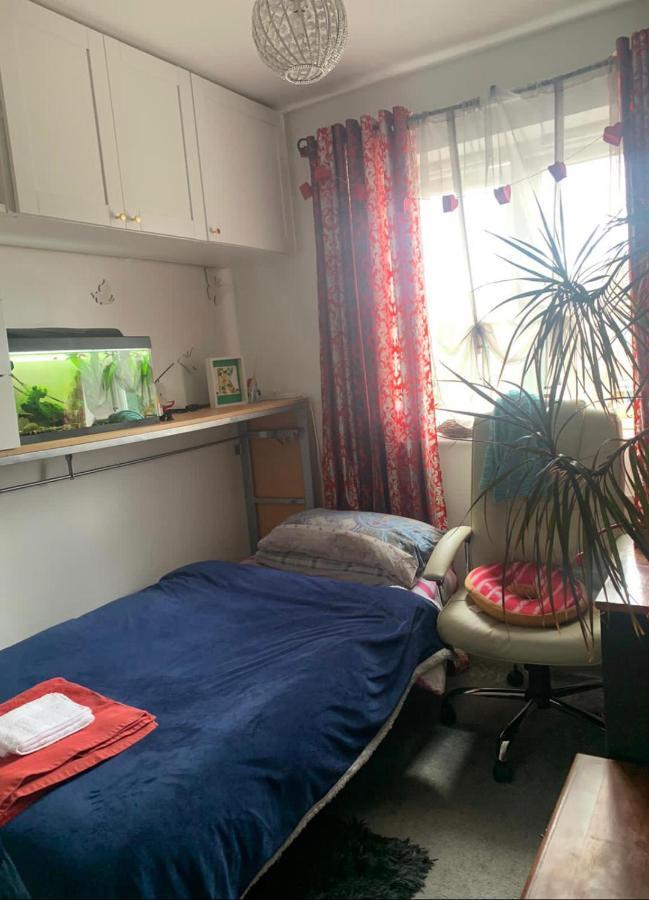 Cosy Room In London Wembley מראה חיצוני תמונה